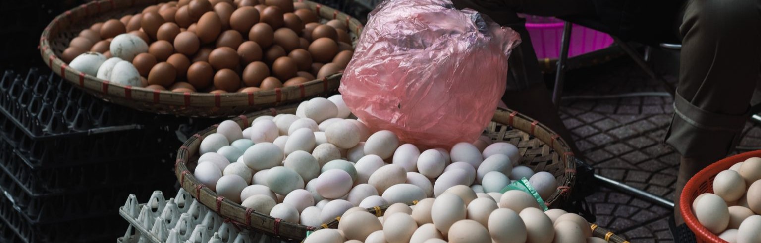 Banner: Ovos distribuídos em várias cestas, metáfora da diversificação de investimentos