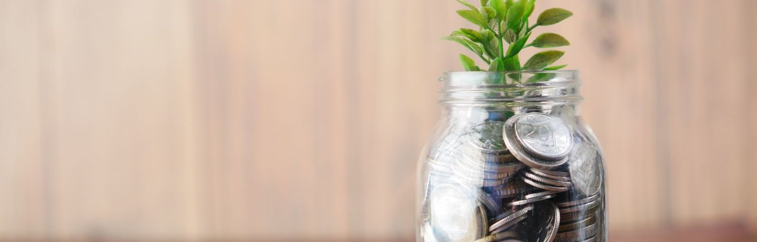 Moedas dentro de um pote com uma pequena planta brotando, ilustrando o rendimento em dividendos